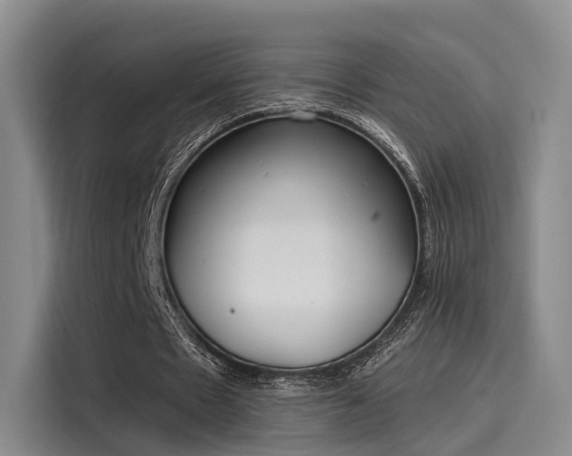 X0000116030481200911271139