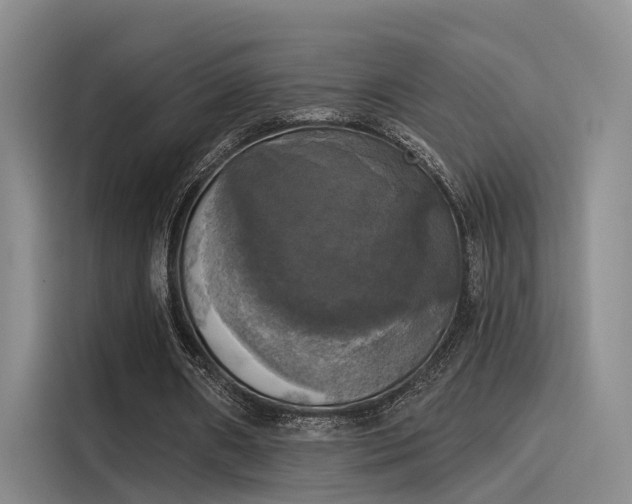 X0000116030482200911271139