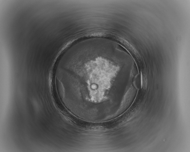 X0000116030483200911271139