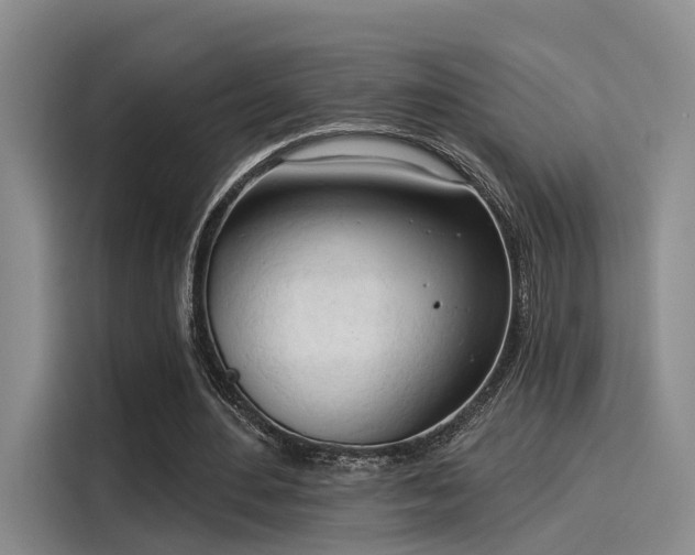 X0000116030484200911271139