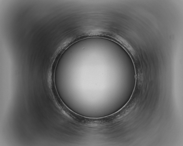 X0000116030485200911271139