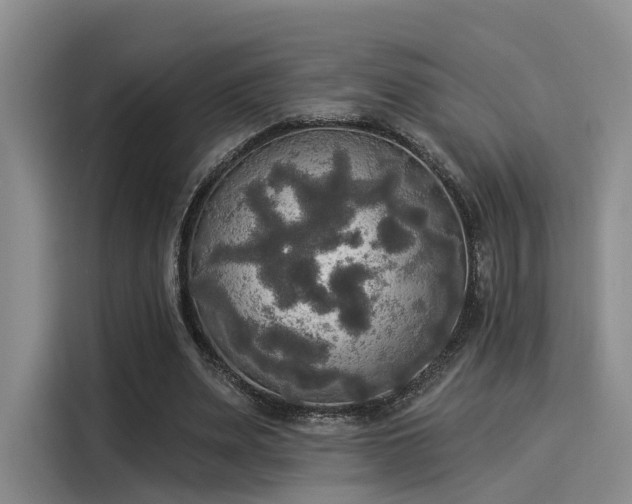 X0000116030487200911271139