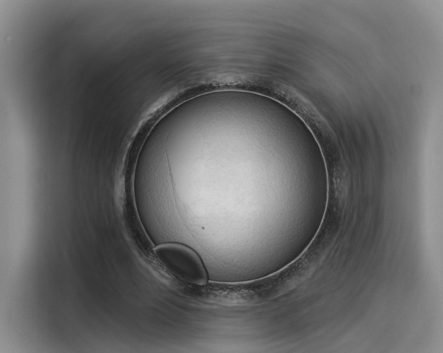 X0000116030488200911271139