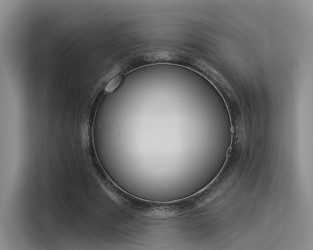 X0000116030489200911271139