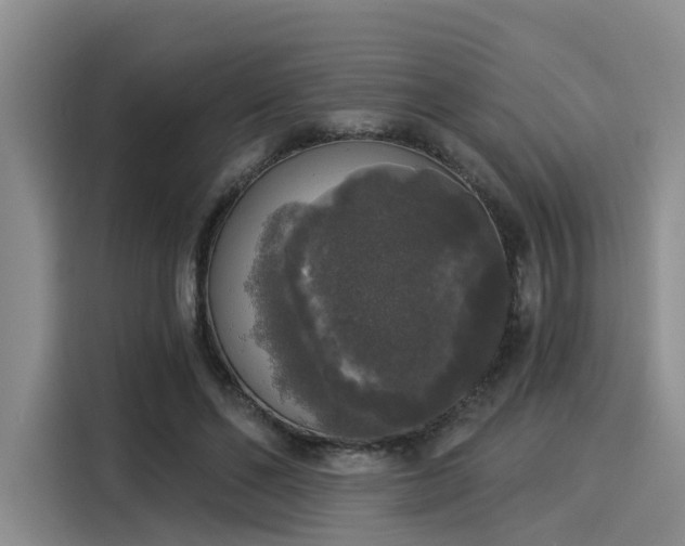 X0000116030494200911271139