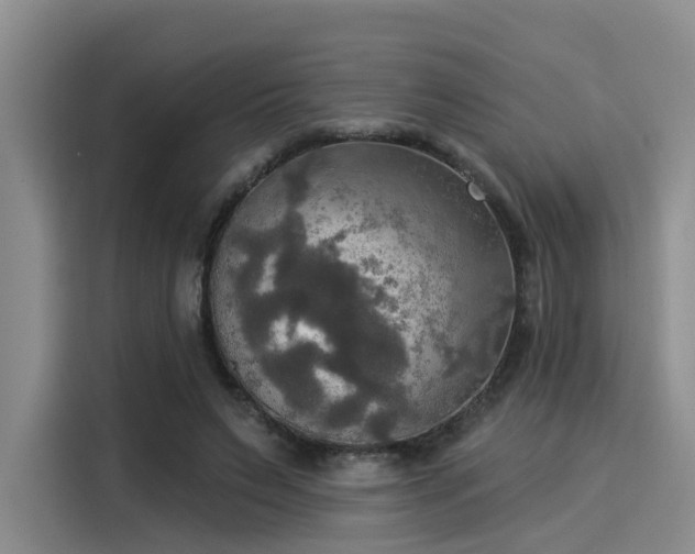 X0000116030495200911271139