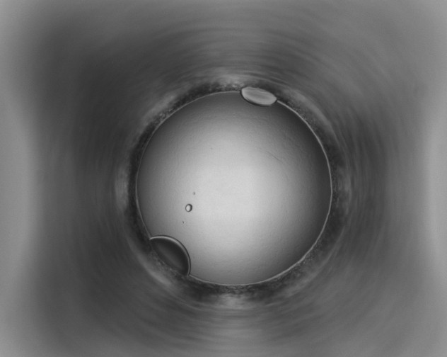 X0000116030496200911271139