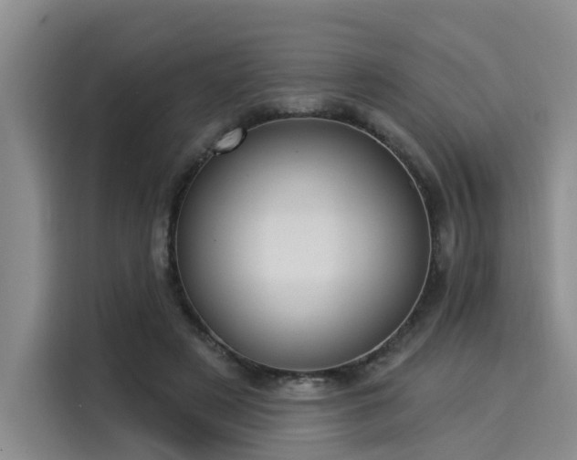 X0000116030497200911271139