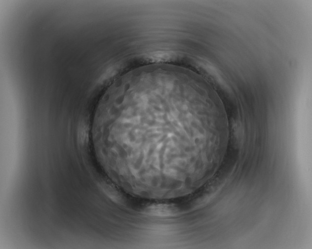 X0000116030499200911271139