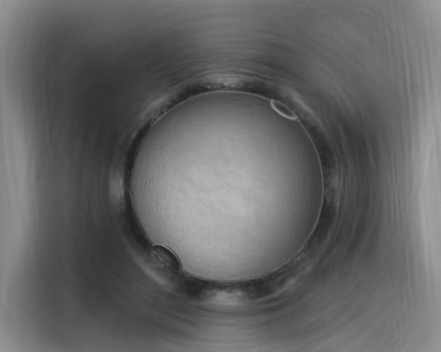 X0000116030500200911271139