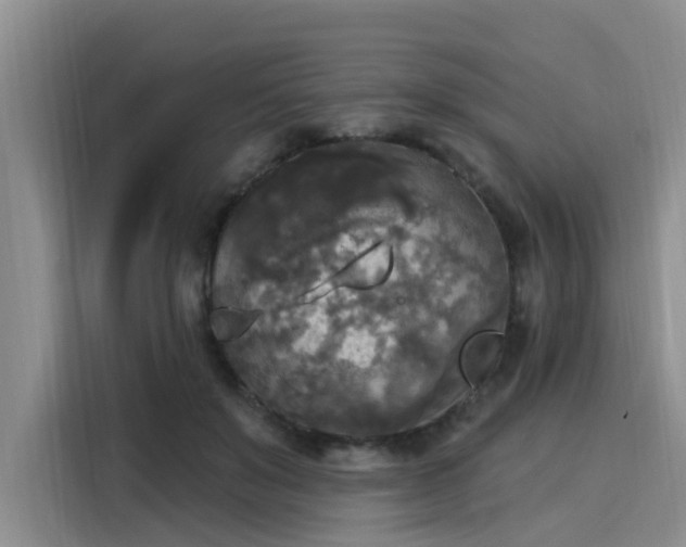 X0000116030503200911271139