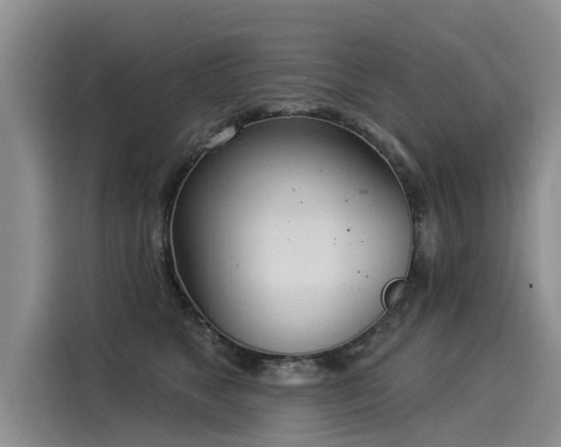 X0000116030517200911271138