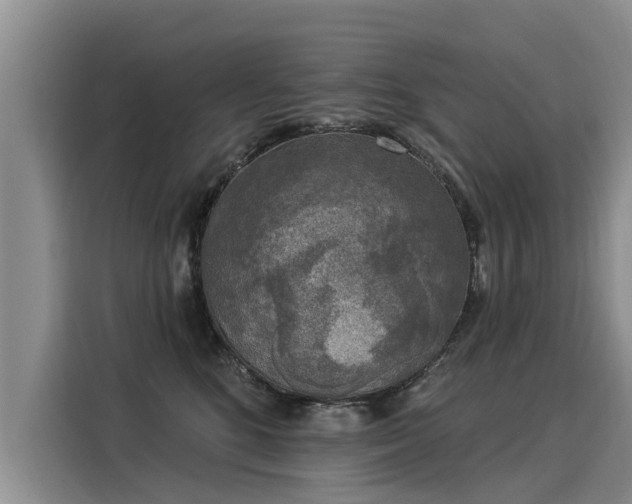 X0000116030520200911271138