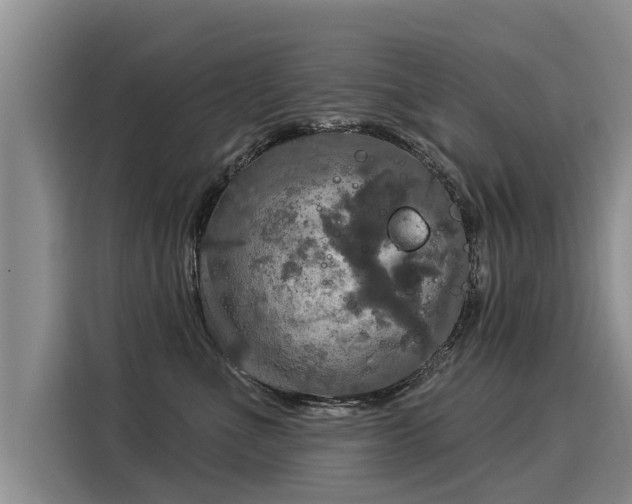 X0000116030523200911271138
