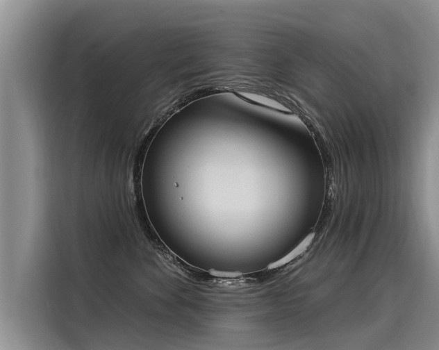 X0000116030524200911271138