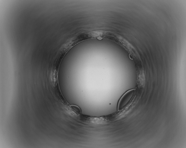 X0000116030525200911271138
