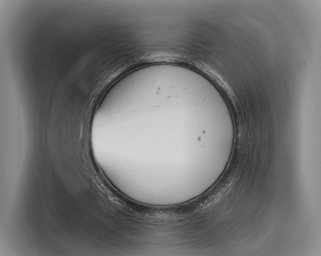 X0000116030529200911271138