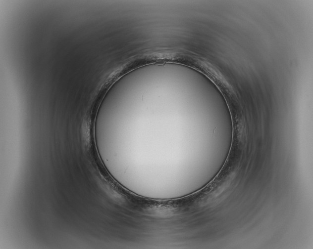 X0000116030537200911271138