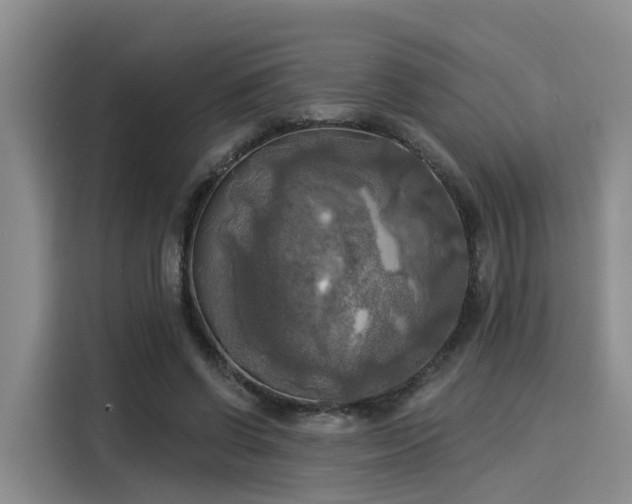 X0000116030542200911271138
