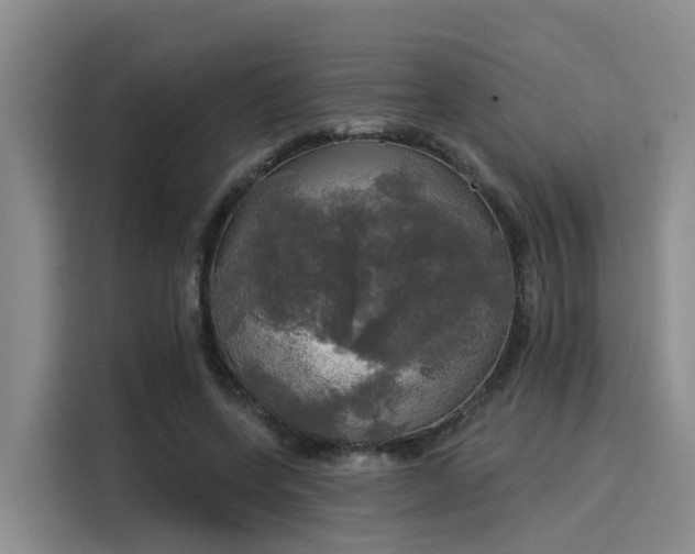 X0000116030543200911271138