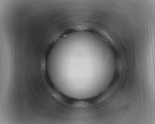 X0000116030549200911271138