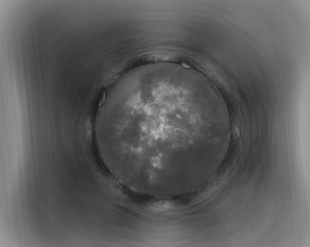 X0000116030551200911271138
