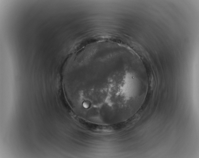 X0000116030559200911271138