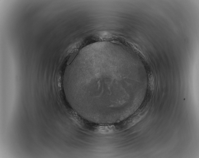 X0000116030571200911271138