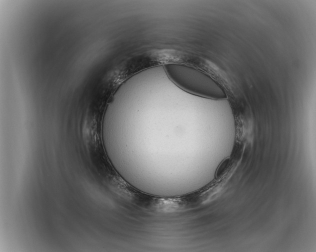 X0000116030573200911271138
