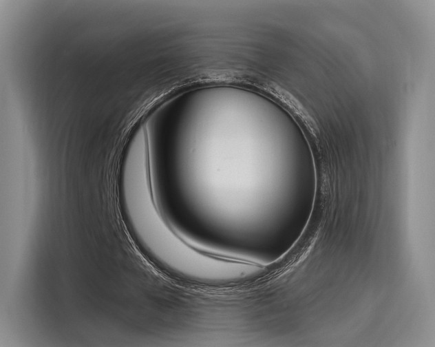 X0000116030577200911271138