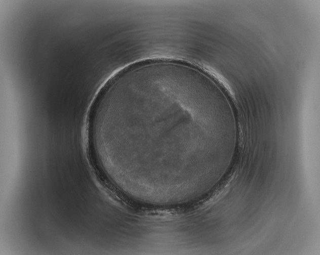 X0000116030580200911271138