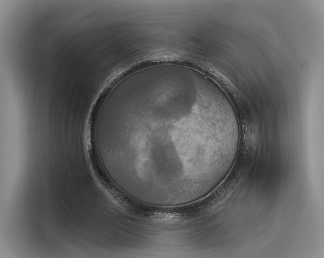 X0000116030582200911271138