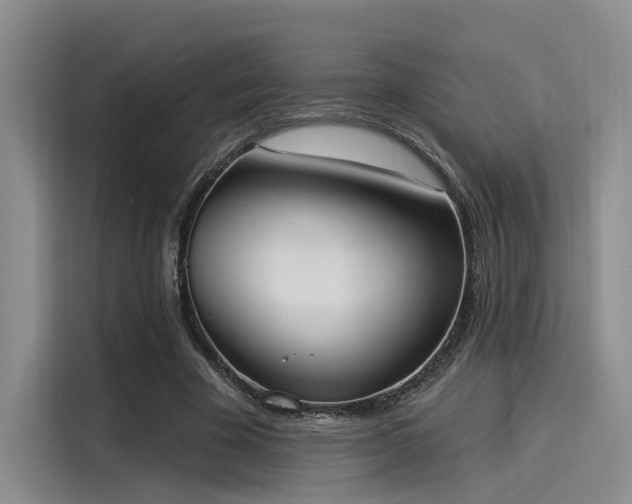 X0000116030585200911271137