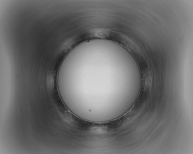 X0000116030595200911271137