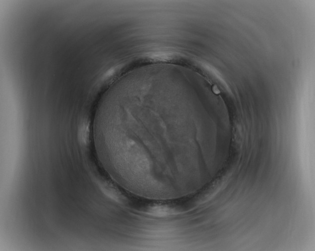 X0000116030596200911271137