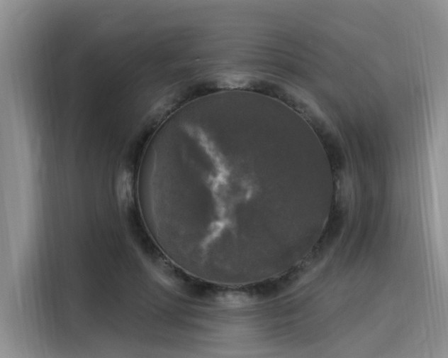 X0000116030598200911271137