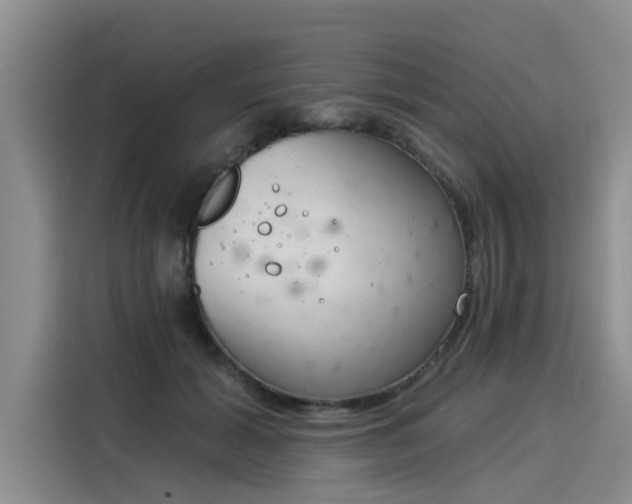 X0000116030605200911271137