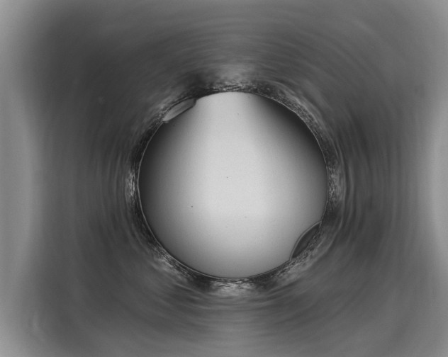 X0000116030621200911271137