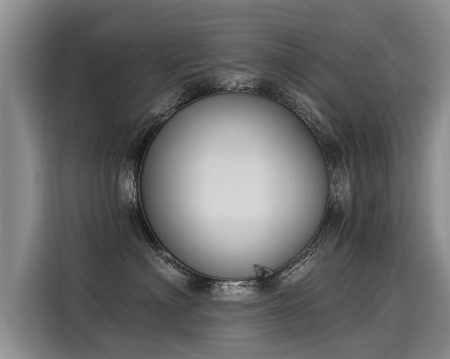 X0000116030622200911271137