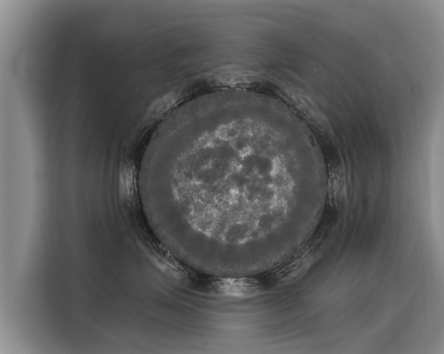 X0000116030623200911271137