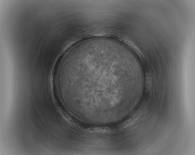 X0000116030626200911271136