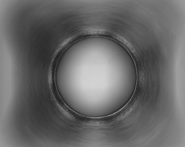X0000116030629200911271136
