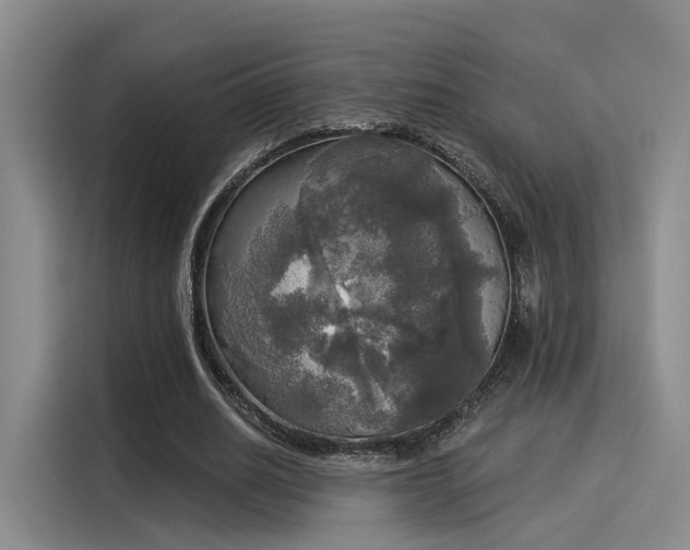 X0000116030630200911271136