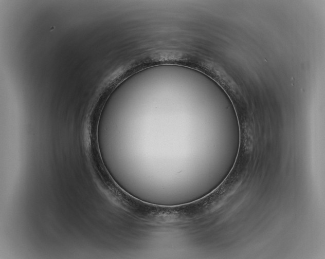 X0000116030631200911271136