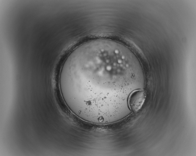 X0000116030635200911271136