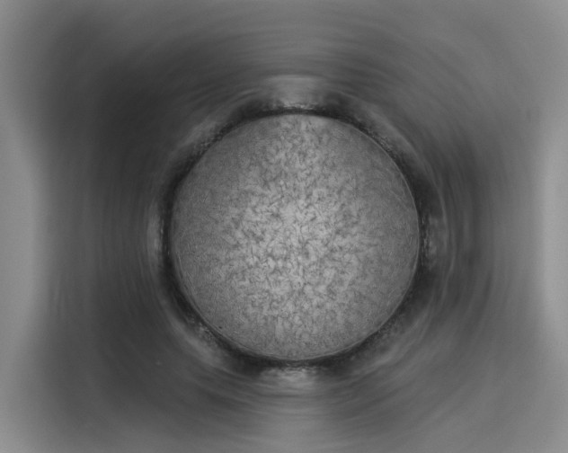 X0000116030639200911271137