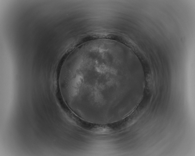 X0000116030642200911271137