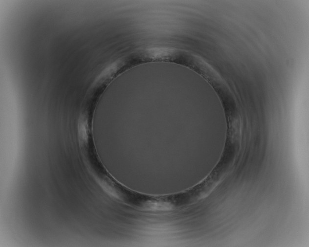 X0000116030644200911271137
