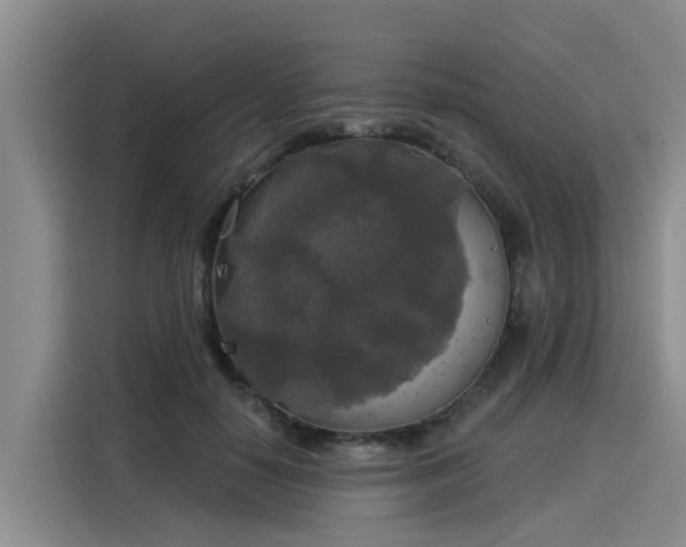 X0000116030650200911271137