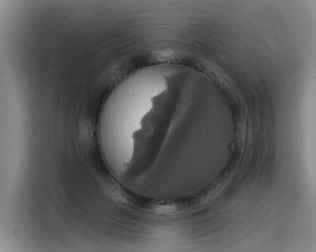 X0000116030653200911271137